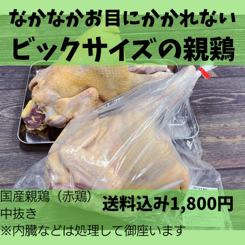 【国産親鶏】まるまる一羽　親鶏中抜き（赤鶏）