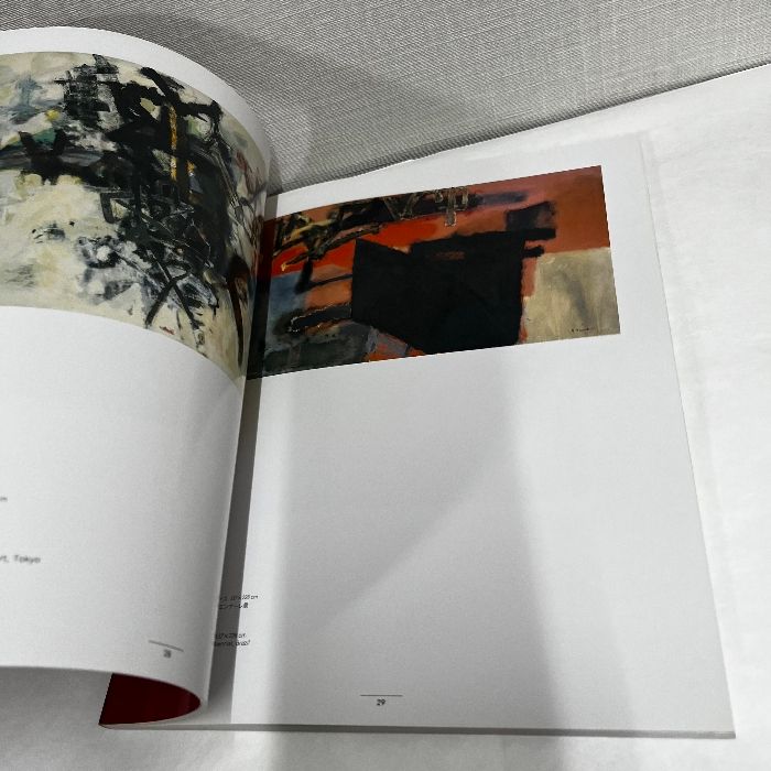 川端実展-在米35年孤高の軌跡（ペーパーバック） 川端実展 在米35年孤高の軌跡 図録 京都国立近代美術館 児島