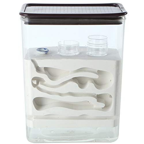 1年間無料保証【DDA】冷やし虫家HI dda クワガタ カブトムシ 飼育