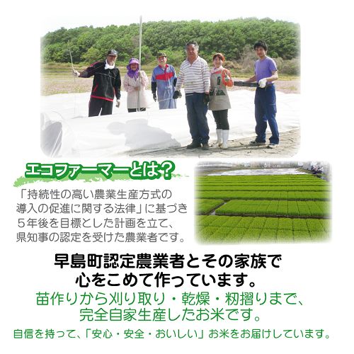 ☆令和5年産 １等米 岡山県 エコファーマー 特Ａ 減農薬栽培米【きぬむすめ】20㎏ - メルカリ