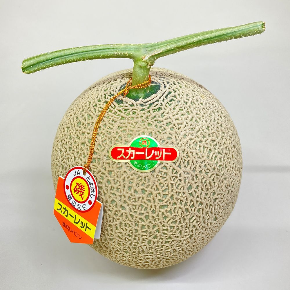 メロンページ 富良野メロン(赤肉) 秀品【TAIYO NO SHIZUKU】1.8kg/2玉入