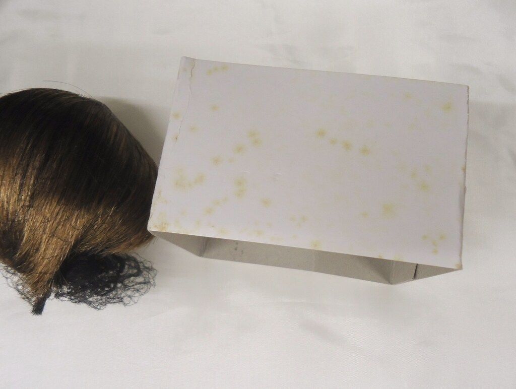 SDオーナーズ感謝祭 夢のテーマパークホテルin東京2009