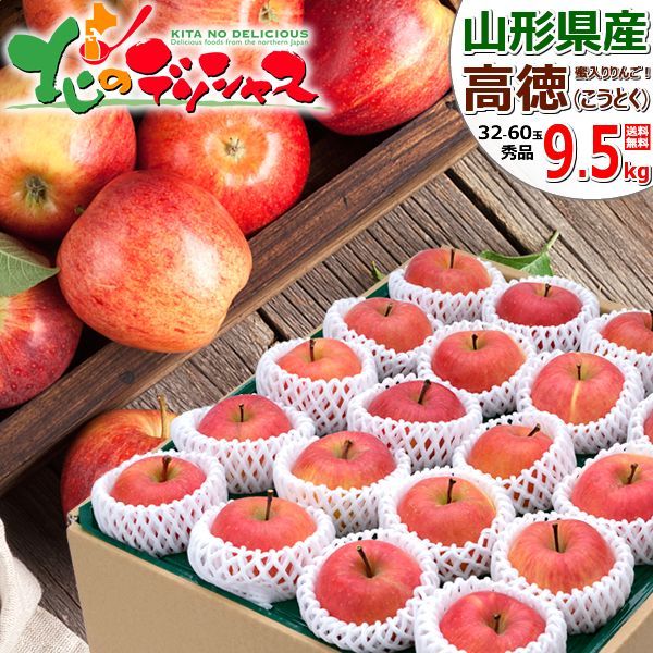 予約 11月上旬 11月7日 頃～出荷予定 山形県産 りんご 高徳 9.5kg 秀品 32玉～60玉入り 蜜入り 蜜入りりんご リンゴ 林檎 ギフト 贈り物 お祝い 内祝い プレゼント ご家庭用 果物 フルーツ 山形県 山形県直送 グルメ お取り寄せ