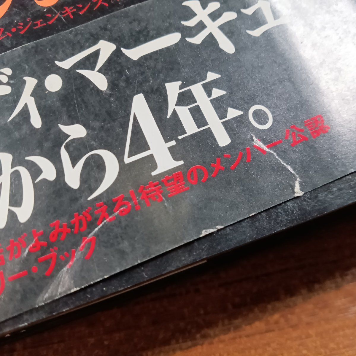 ☆QUEEN クイーン 果てしなき伝説 (書籍) ジャッキー・ガン