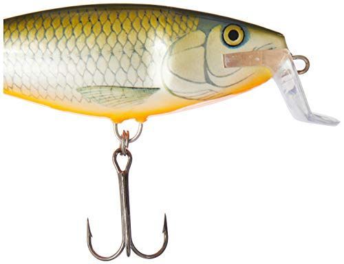 RFSH (レッドフィンシャイナー) Rapala(ラパラ) ビッグベイト スーパーシャッドラップ 14cm 45g レッドフィンシャイナー RFSH  SSR14-RFSH ルアー - メルカリ