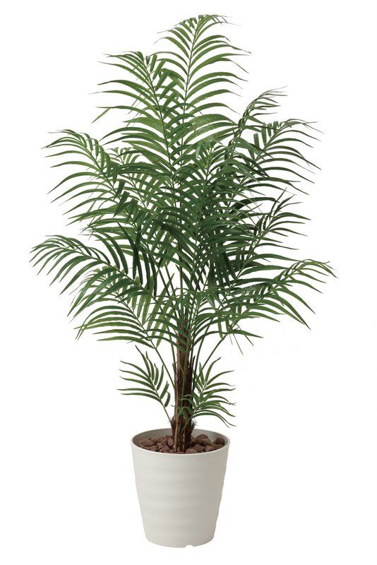 光触媒観葉植物 アレカパーム1.5/光触媒〔フロアタイプ(ハイサイズ)〕/光触媒 観葉植物 ウンベラータ フェイクグリーン 花 胡蝶蘭 開店祝い 開業祝い 誕生祝い 造花 アートフレーム おしゃれ