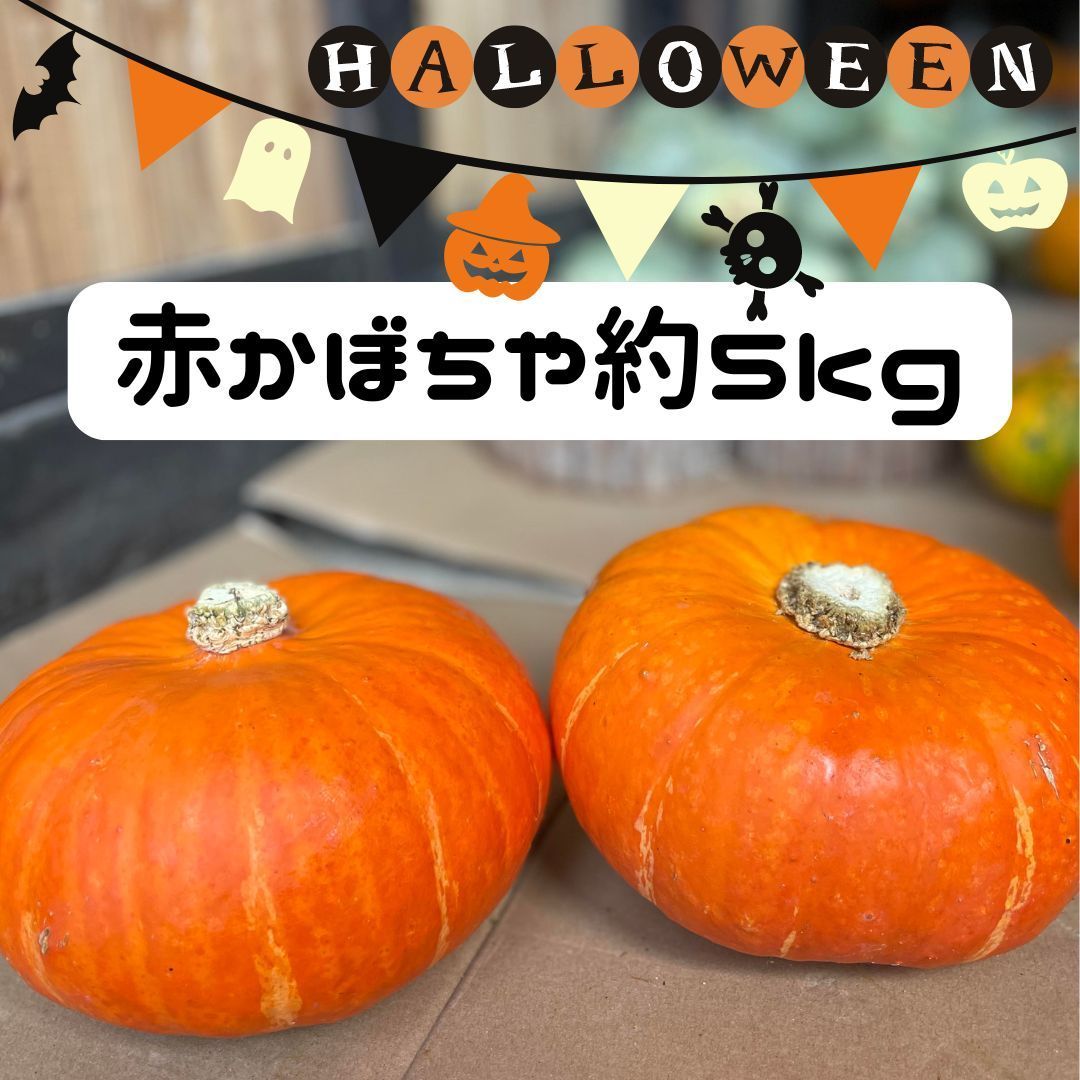 赤いかぼちゃ 赤かぼちゃ 草間彌生作