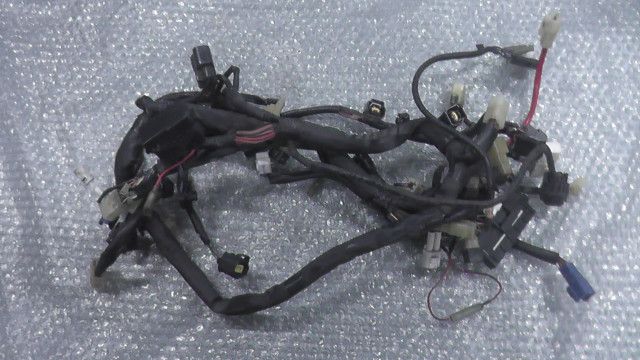 YZF-R1 JYARN095000000xxx の メインハーネス 1757560524 BRIGHTFACE_UK
