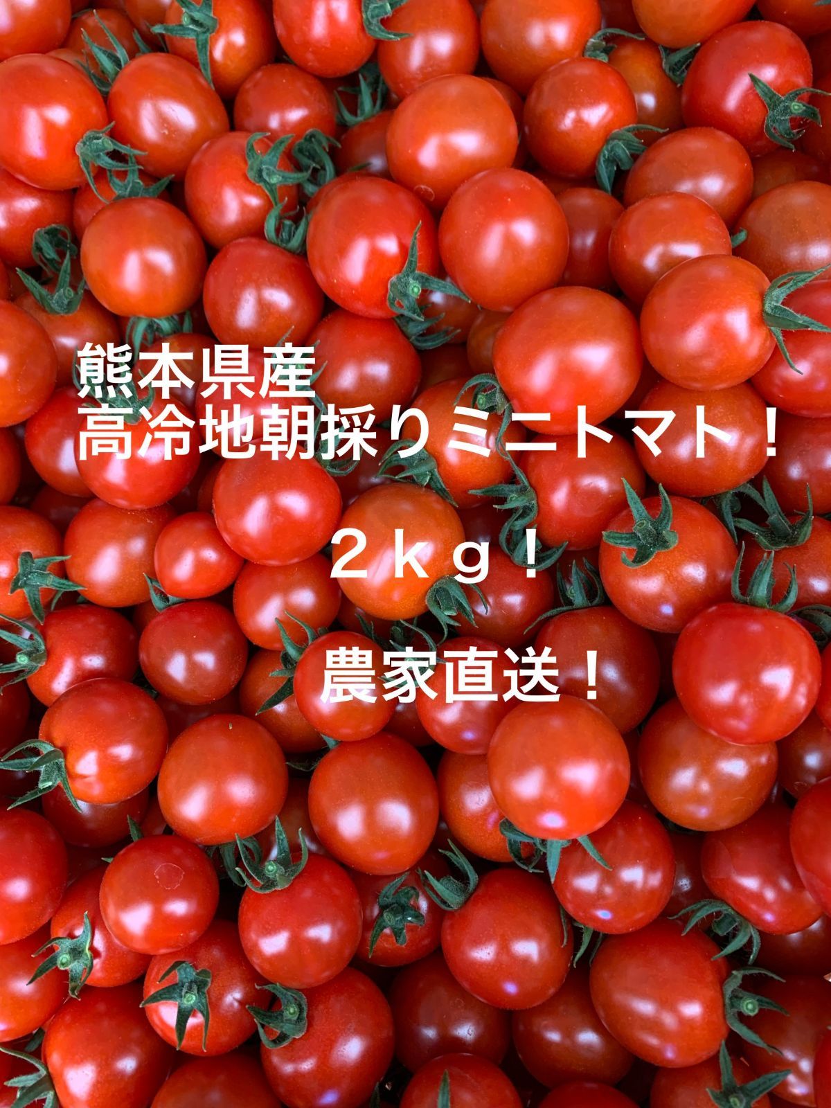 熊本県産 高冷地朝採りミニトマト 2ｋｇ(常温配送) - メルカリ