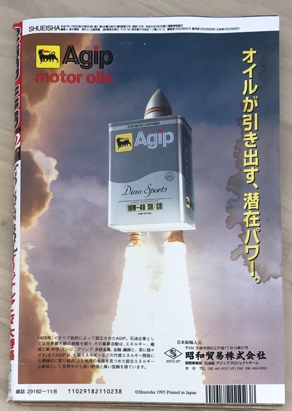スーパージャンプ No.22 1995年11月8日号 アニメ化記念 グラビア&巻頭