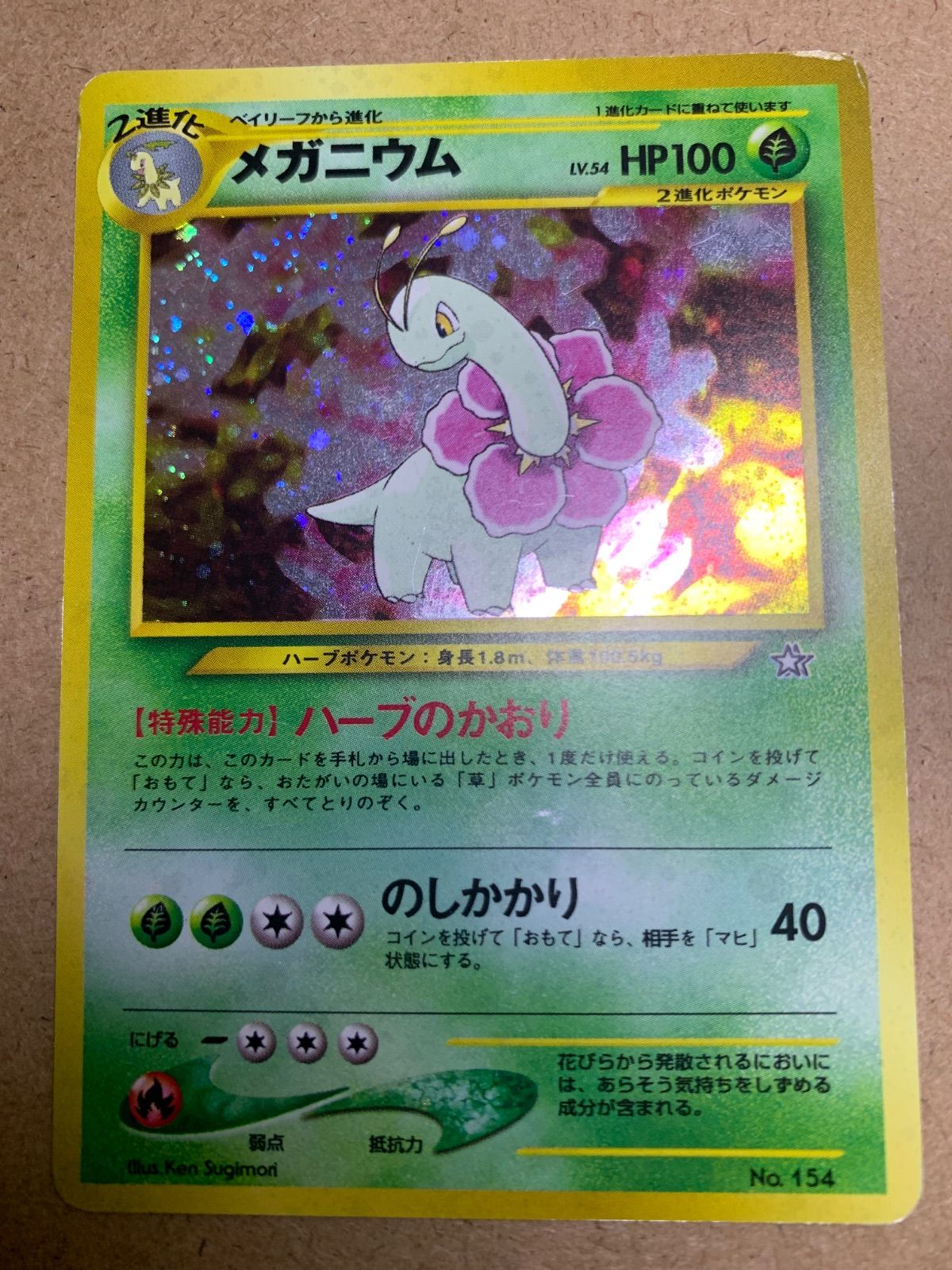 Neoプレミアムファイル：メガニウム/バクフーン/オーダイル ポケモンカード旧裏 Neoプレミアムファイルのメガニウム&バクフーン&オーダイル