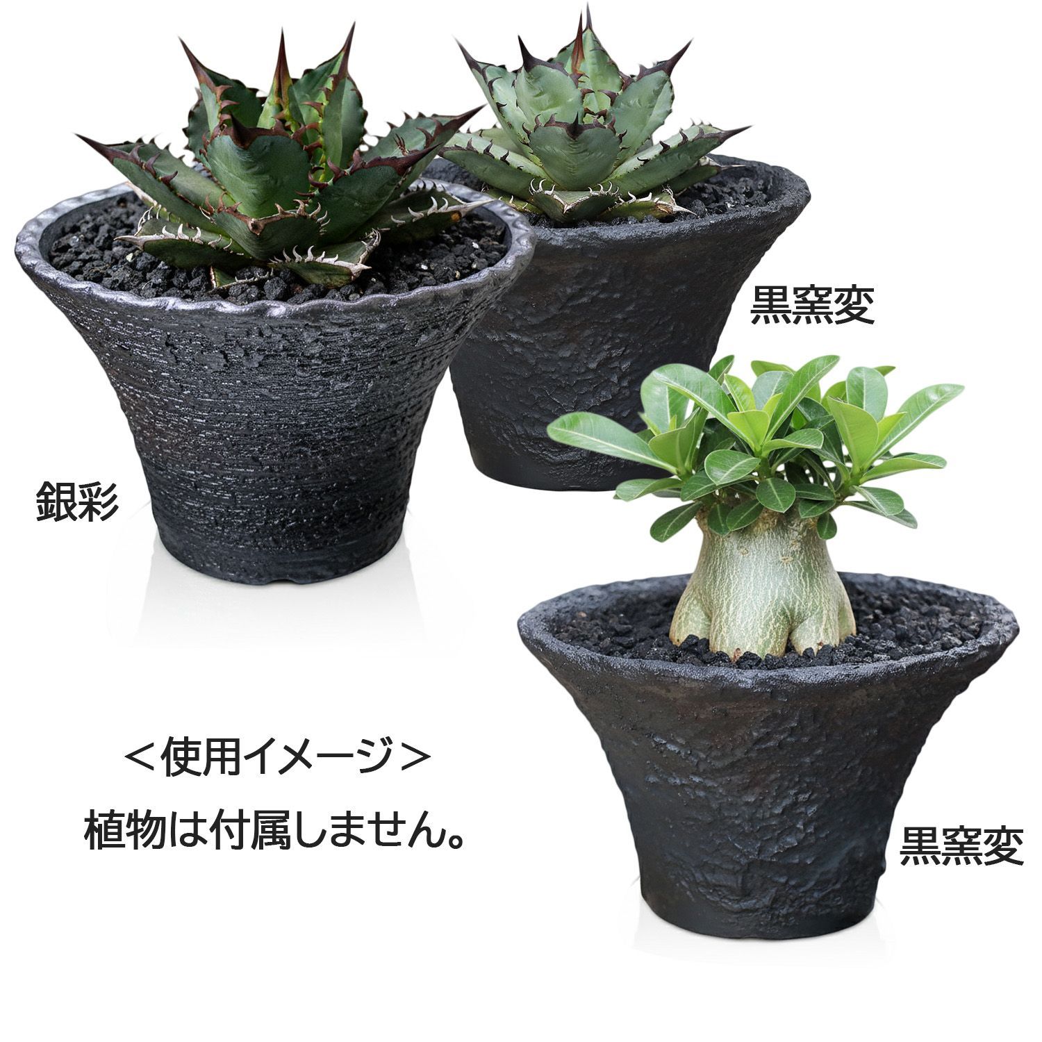 盆栽鉢 6号 ソリ型 黒窯変 信楽焼 山野草 観葉植物 アガベ 塊根