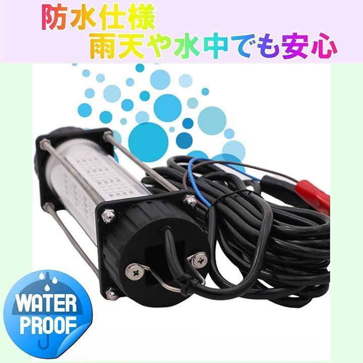 DC12V 白