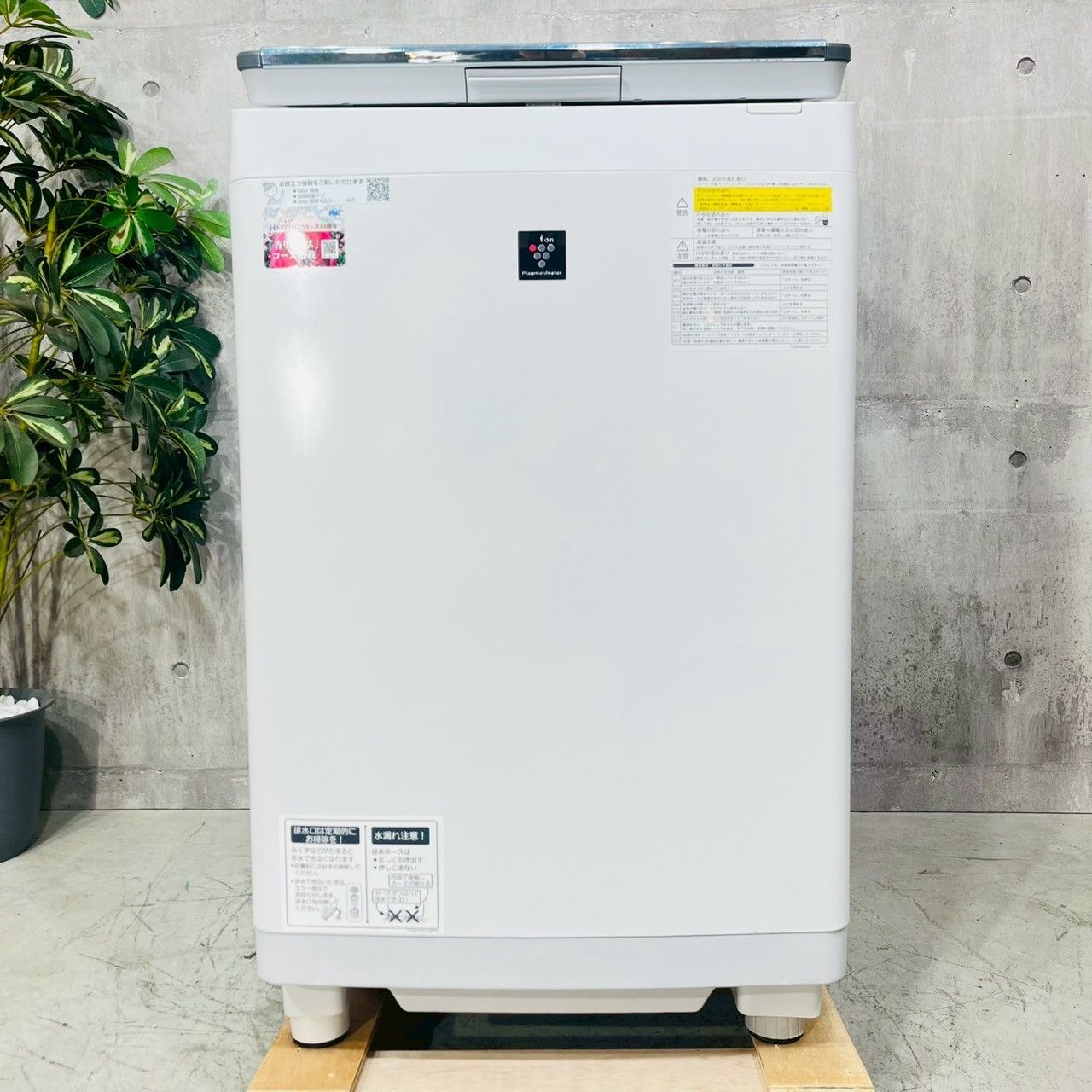 ️SHARP a 4193 洗濯機 11 kg 2019年製 12.5 ️