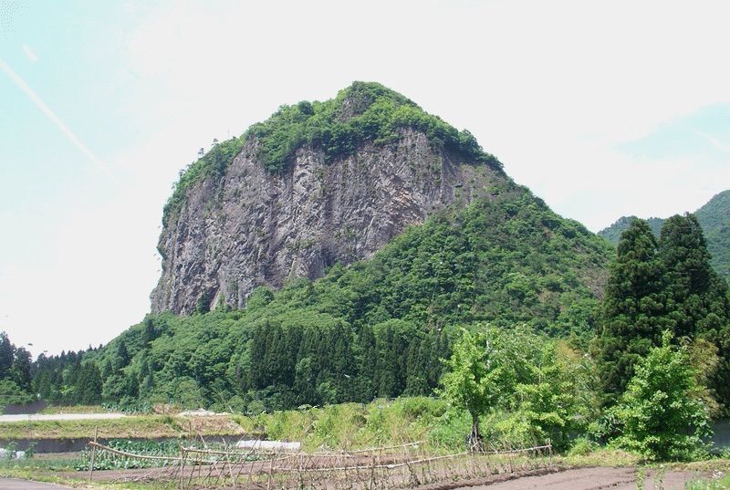 令和3年 新潟県三条市しただ産 減農薬特別栽培米コシヒカリ玄米30kg