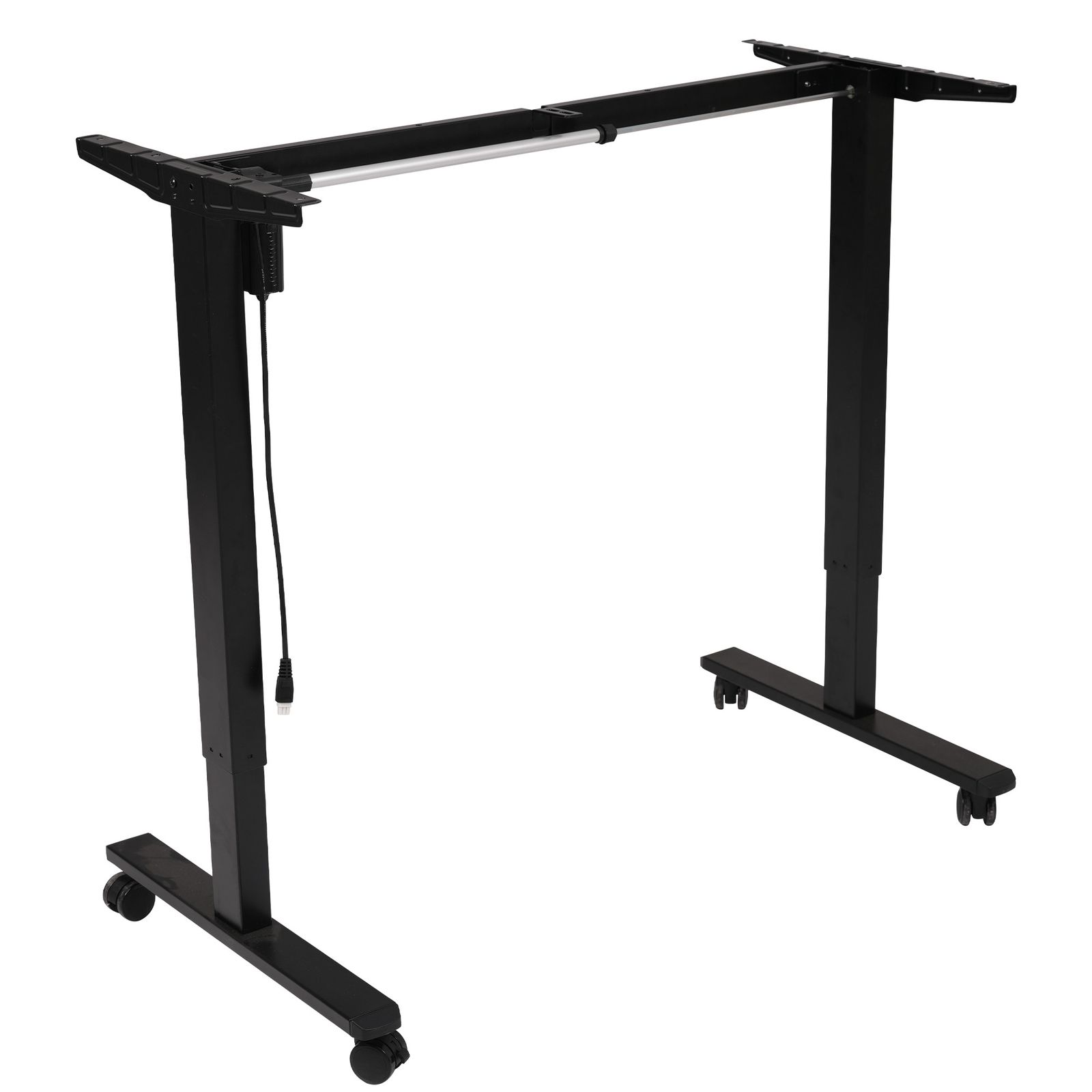 陶器鉢付き』スナグルトゥース 2頭 ダブルヘッド ☆発根済み☆超大株