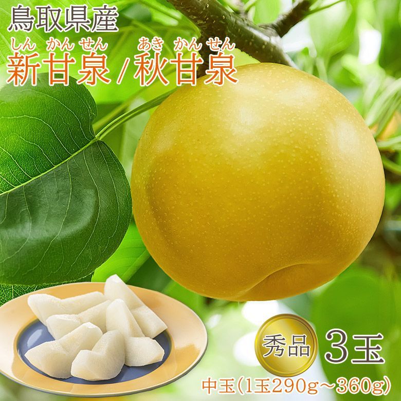 8月下旬より順次発送】 【 秀品 鳥取県産 新甘泉 秋甘泉 中玉 3