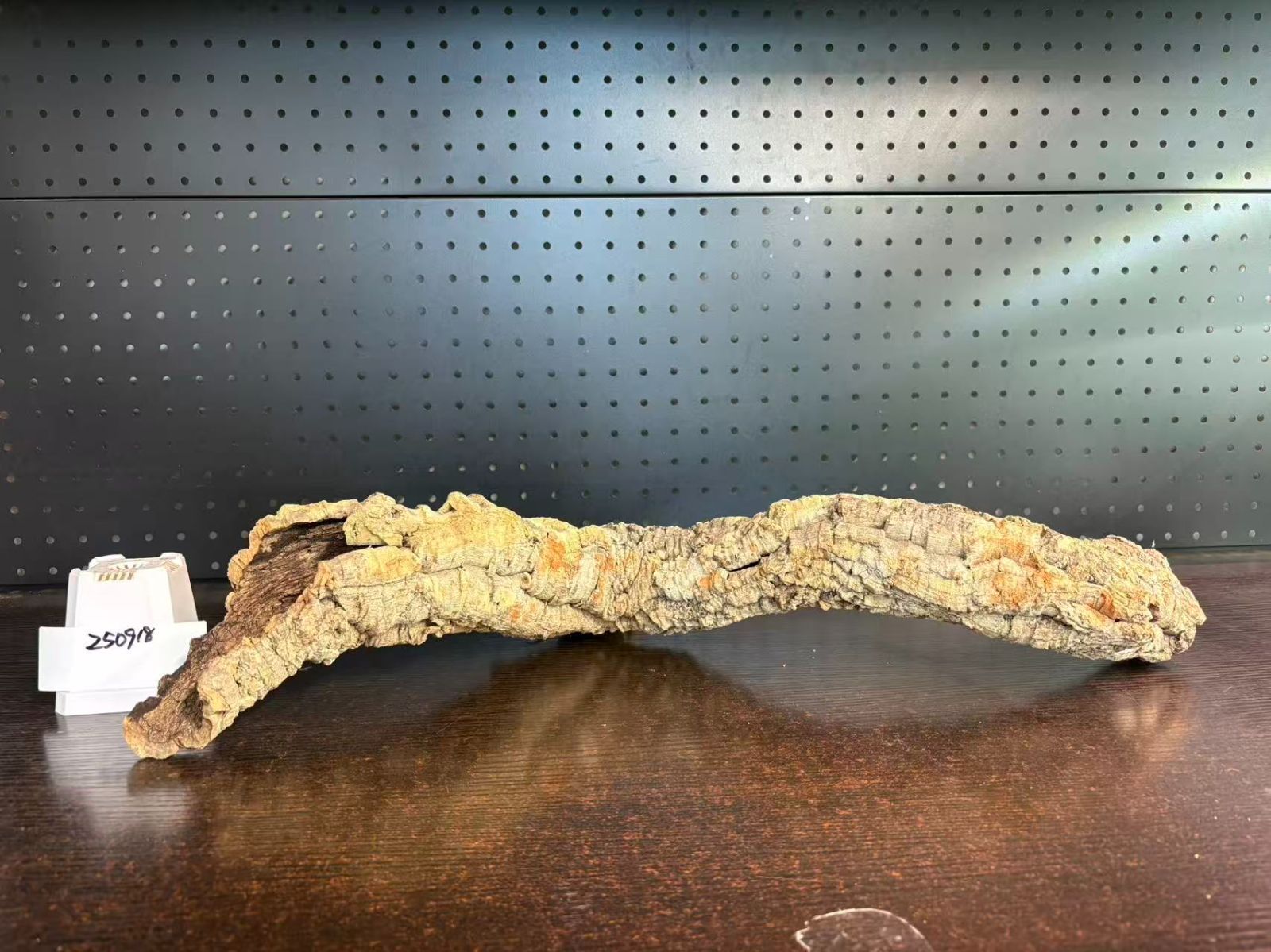 ポルトガル産 キャノンコルク