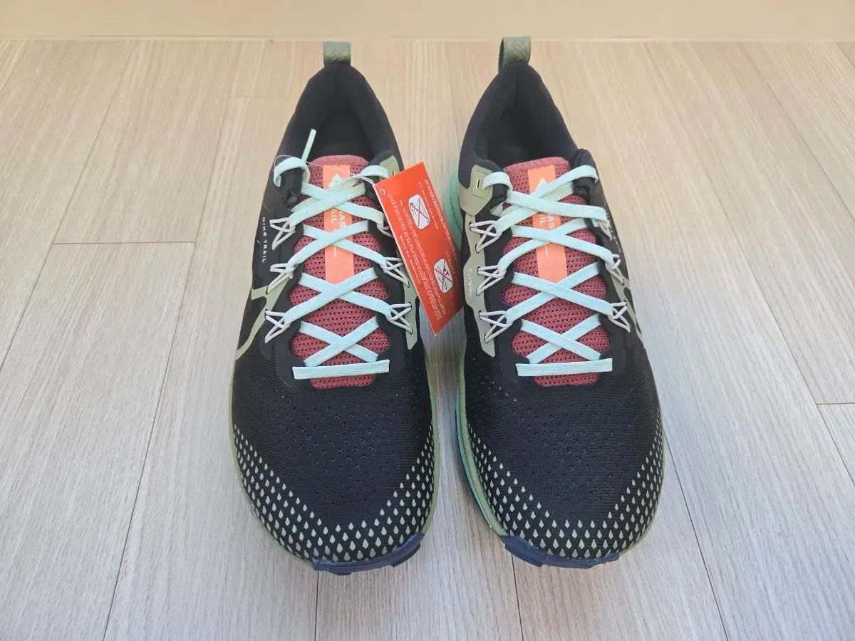 ナイキ ペガサス