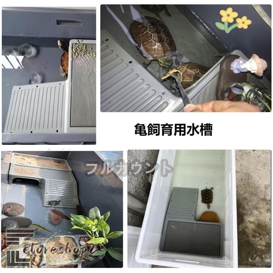 亀観察飼育用プラスチック水槽日向ぼっこ台