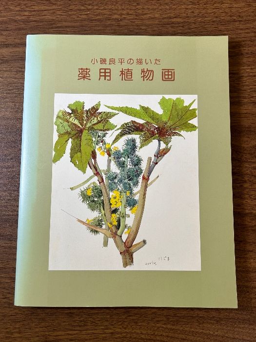 小磯良平の描いた薬用植物画 [図録] 神戸市立小磯記念美術館 神戸市立