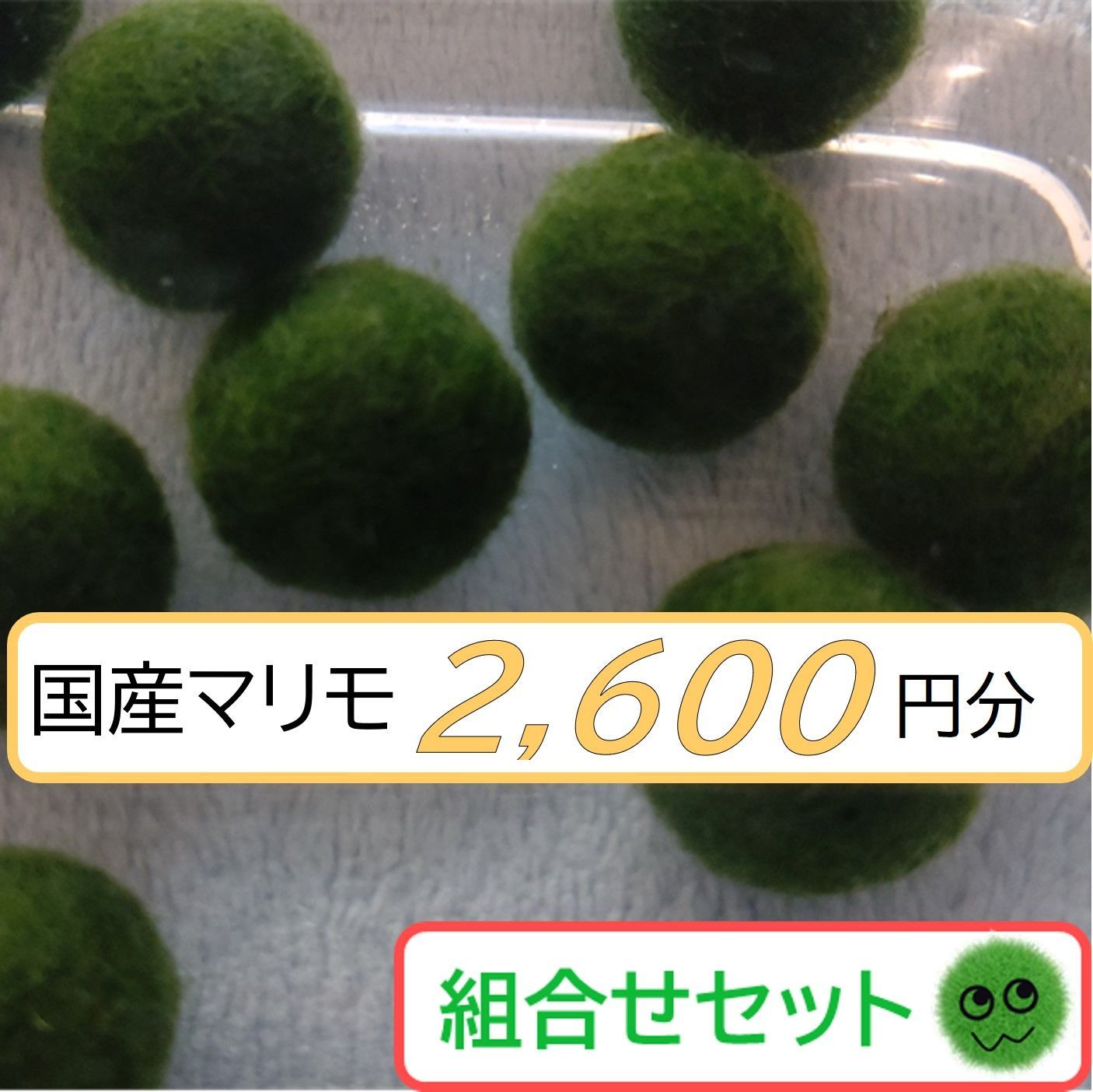 国産マリモ 2,600円分 組合せセット 無農薬水草 小物インテリア