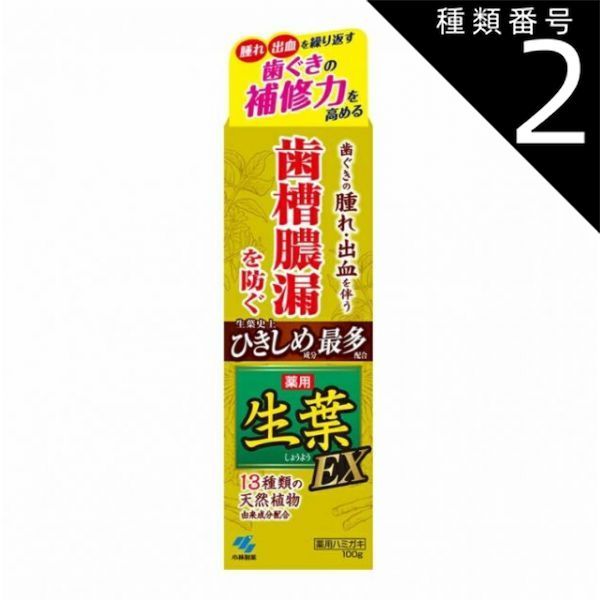 種類2 4個 まとめ買い 生葉ＥＸ 100g