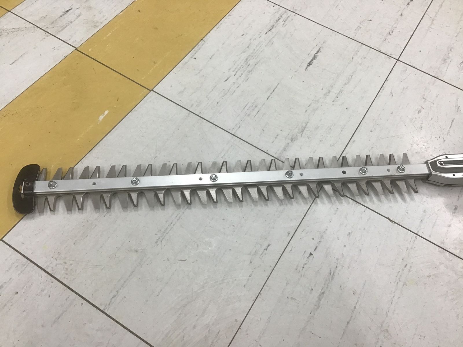 ポールヘッジトリマ