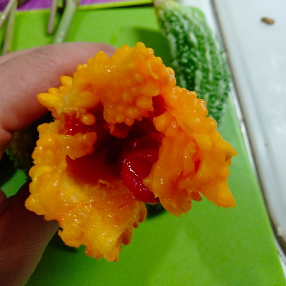 メルカリshops アシタバ明日葉 赤茎 ゴーヤ種 野菜の種