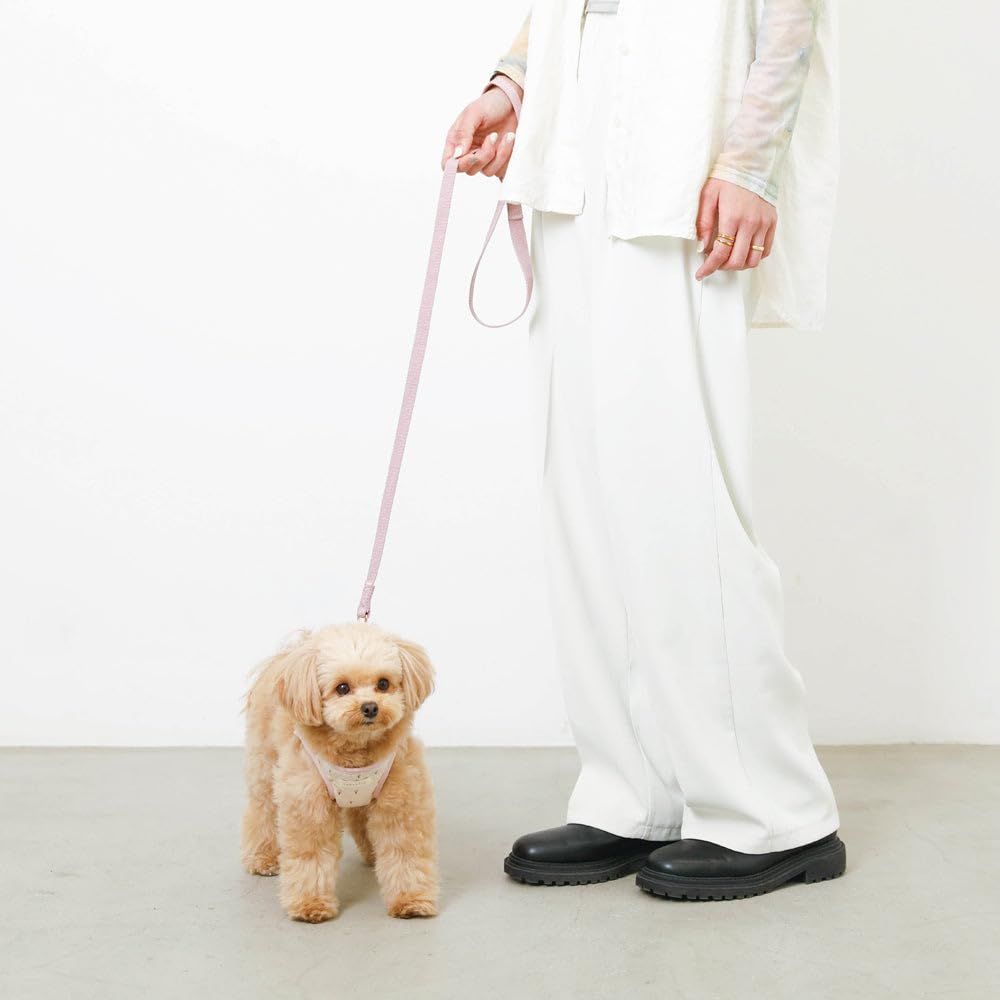 サイズ調節 小型犬