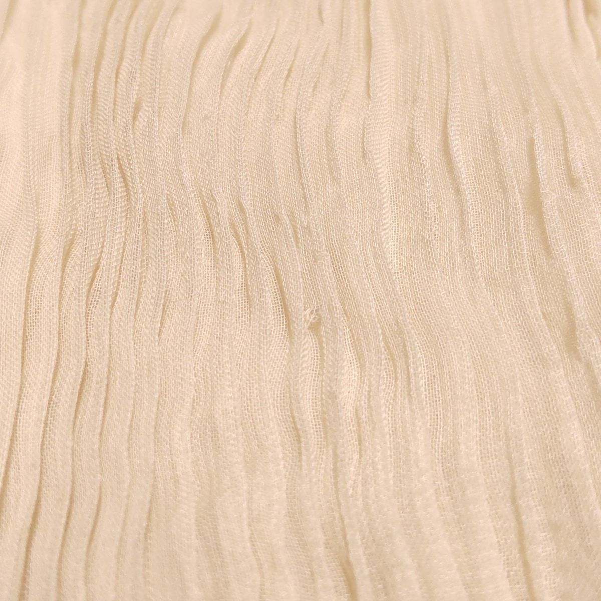 イッセイミヤケフェット 長袖カットソー