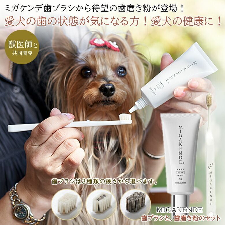 極美品COACH キャンパス バックパック 23 シグネチャー ローズプリント