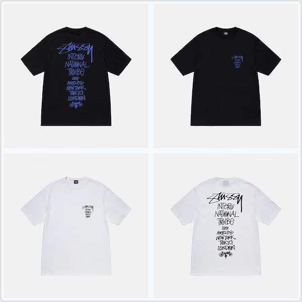 STUSSY 2枚セット WORLD TOUR TEE ホワイトM TRIBE STACK TEE ホワイト