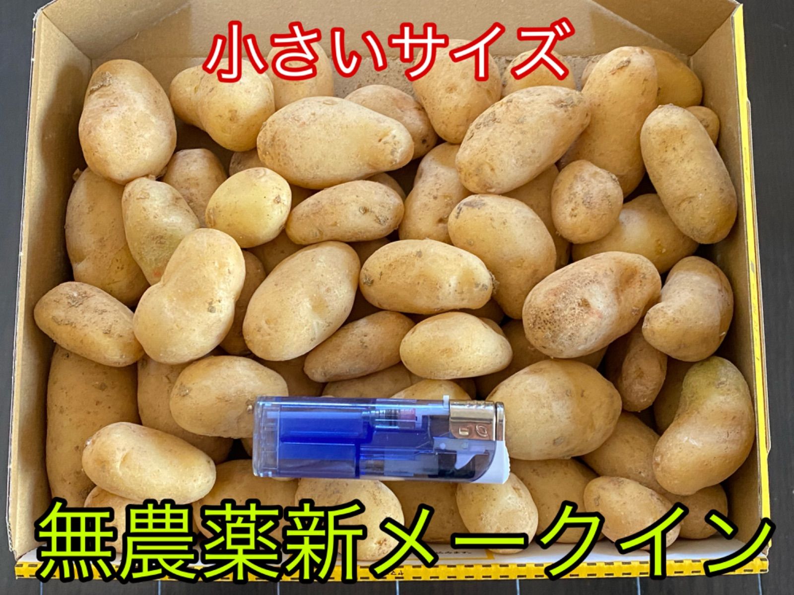 和歌山県産 無農薬新じゃがいも メークイン✨✨最終販売‼️ コロコロ