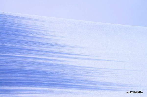 アートフォト 絵画 影の造形2 高橋真澄|インテリア 額入り 額装込 風景画 油絵 ポスター アート アートパネル リビング 玄関 プレゼント モダン アートフレーム 飾る Mサイズ おしゃれ 壁掛け 絵 アクリルスタンドコレクション 写真 