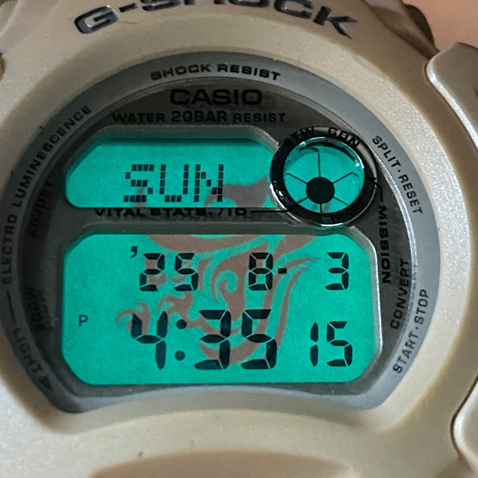 カシオ CASIO DW-0098 限定 G-SHOCK ドラゴン ラバコレ ラバーズ 
