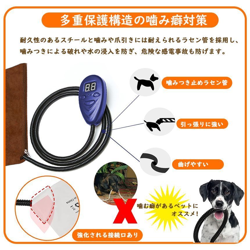 犬
