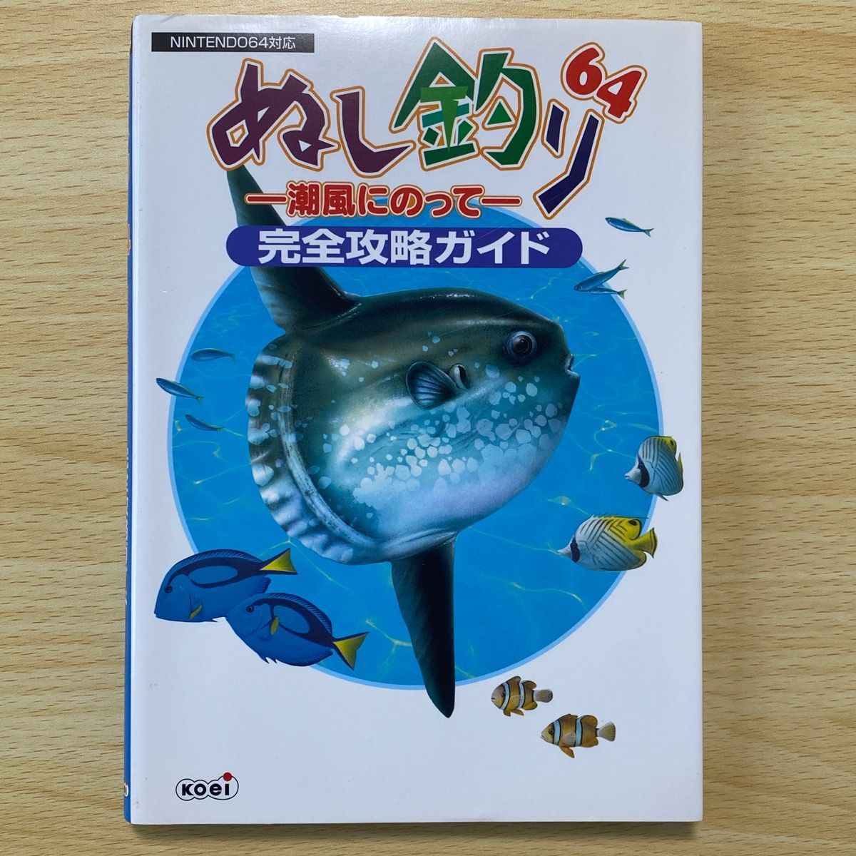 Amazon.co.jp: ぬし釣り64―潮風にのって―公式攻略ガイド (電撃