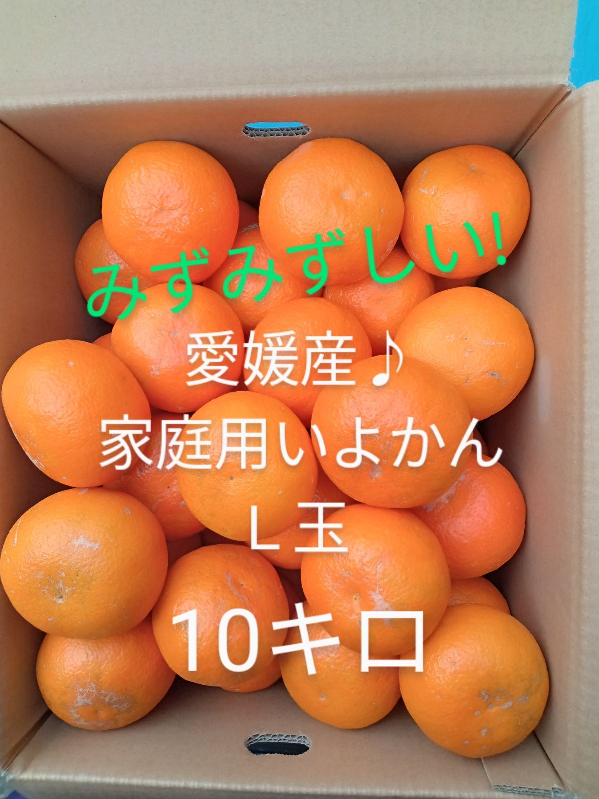 メルカリshops 愛媛産 家庭用いよかん10キロ ｌ玉
