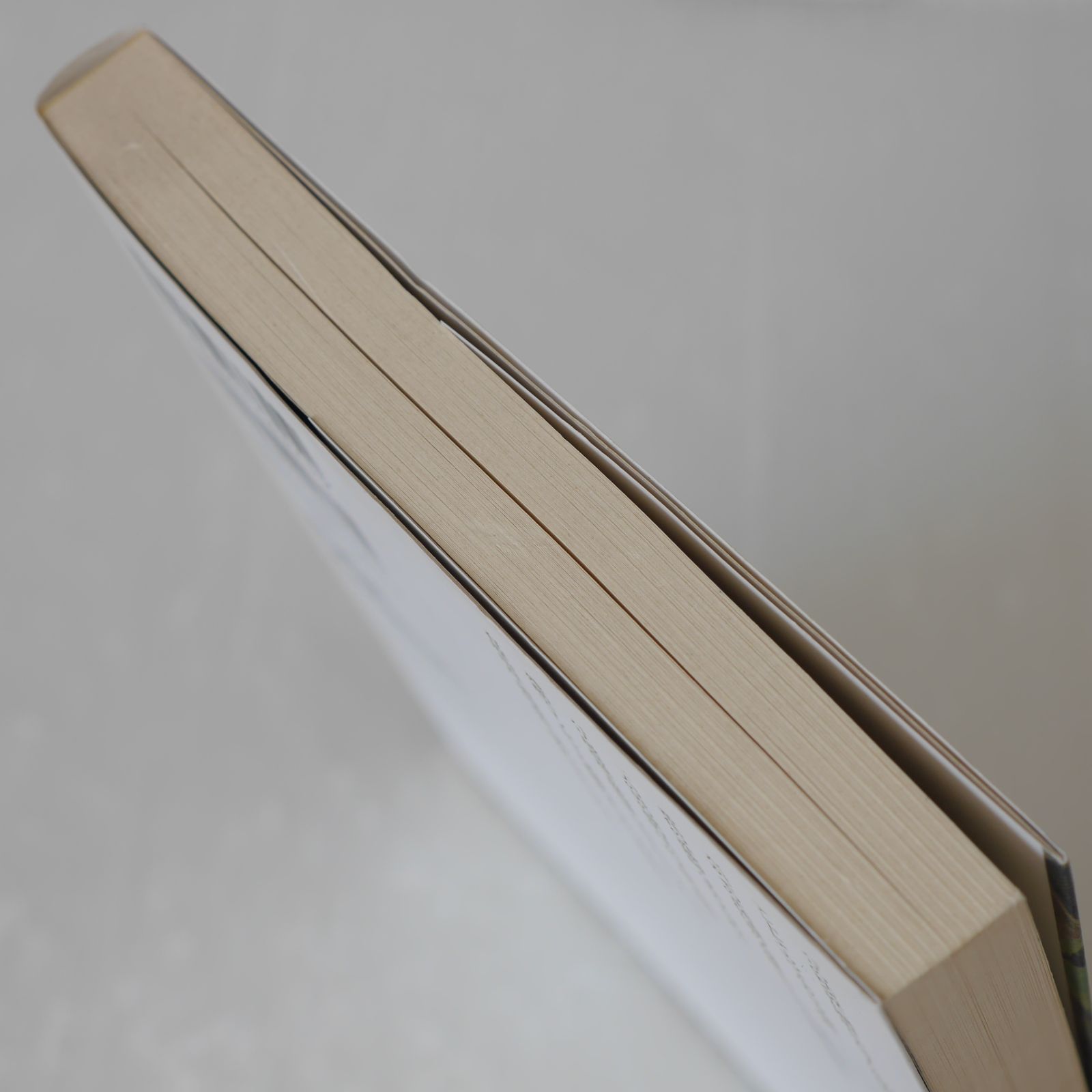 ブックマーク付き 初版 絶版 巌窟王仮面の貴公子 ノベルス 著 有原 由良 GONZO イラスト 前田 真宏 - Gankutsuou Kamen no Kikoushi Novel With Bookmark 2008年