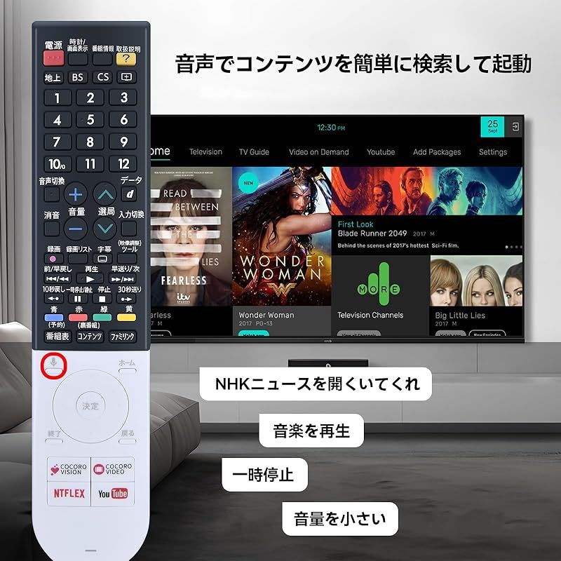 音声認識機能付き 4T-C40AJ1