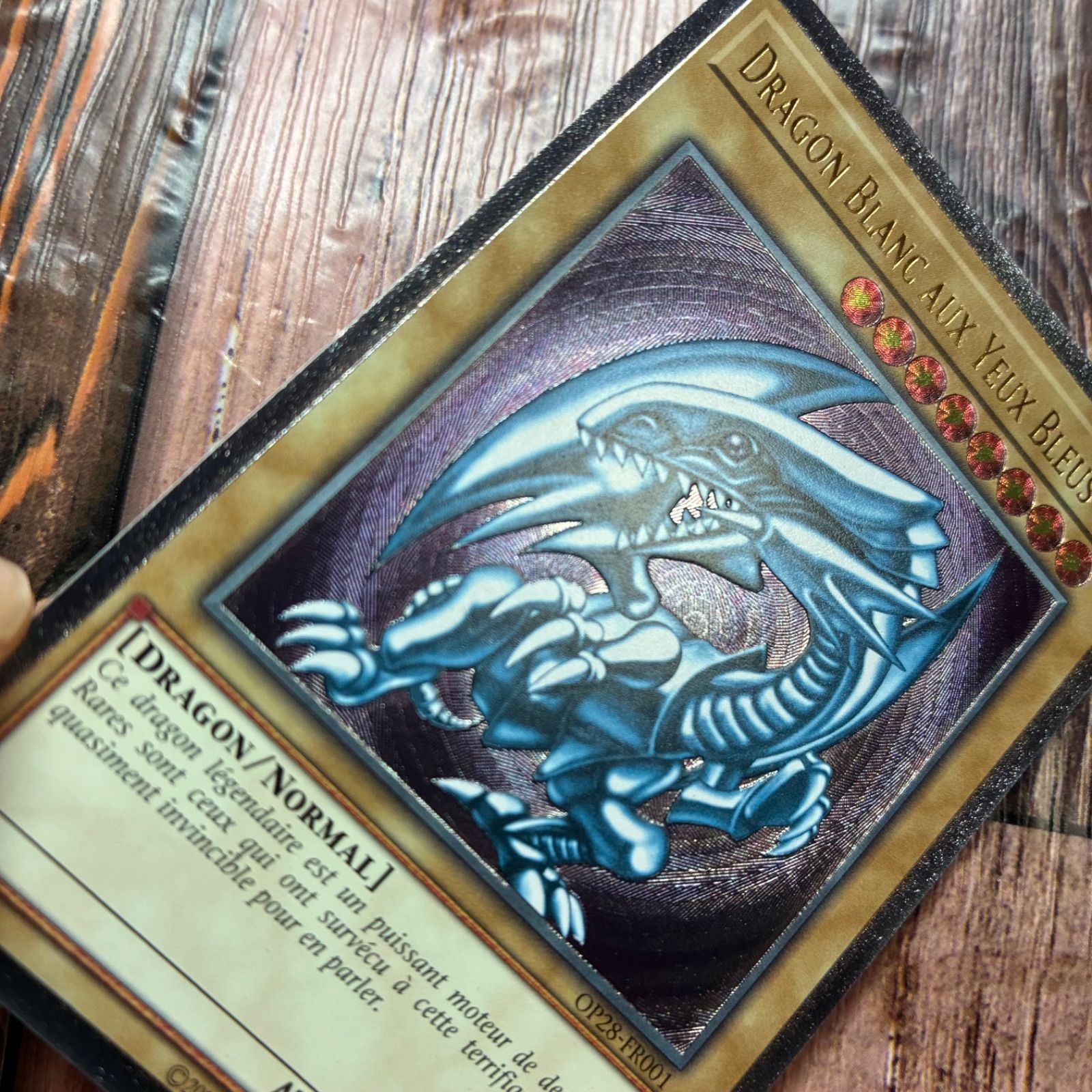 遊戯王 青眼の白龍 英語版 EU OTS28 レリーフ 良個体 青眼の白龍