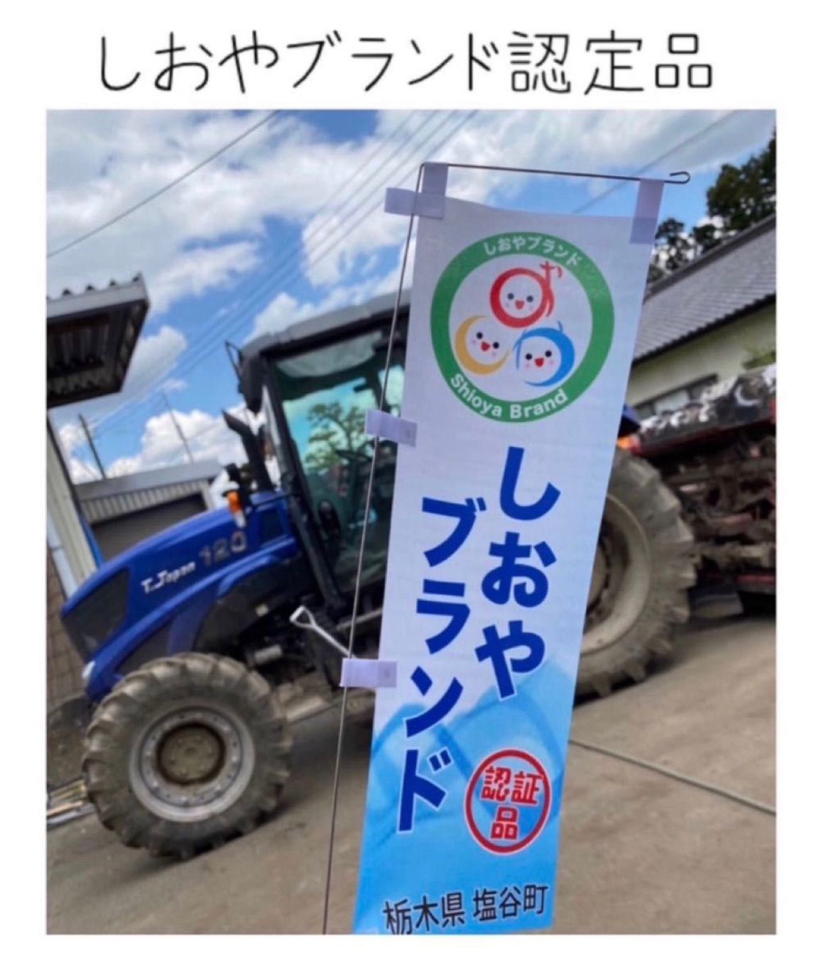 栃木県産コシヒカリ白米27kg 特別栽培米 令和7年産 - メルカリ