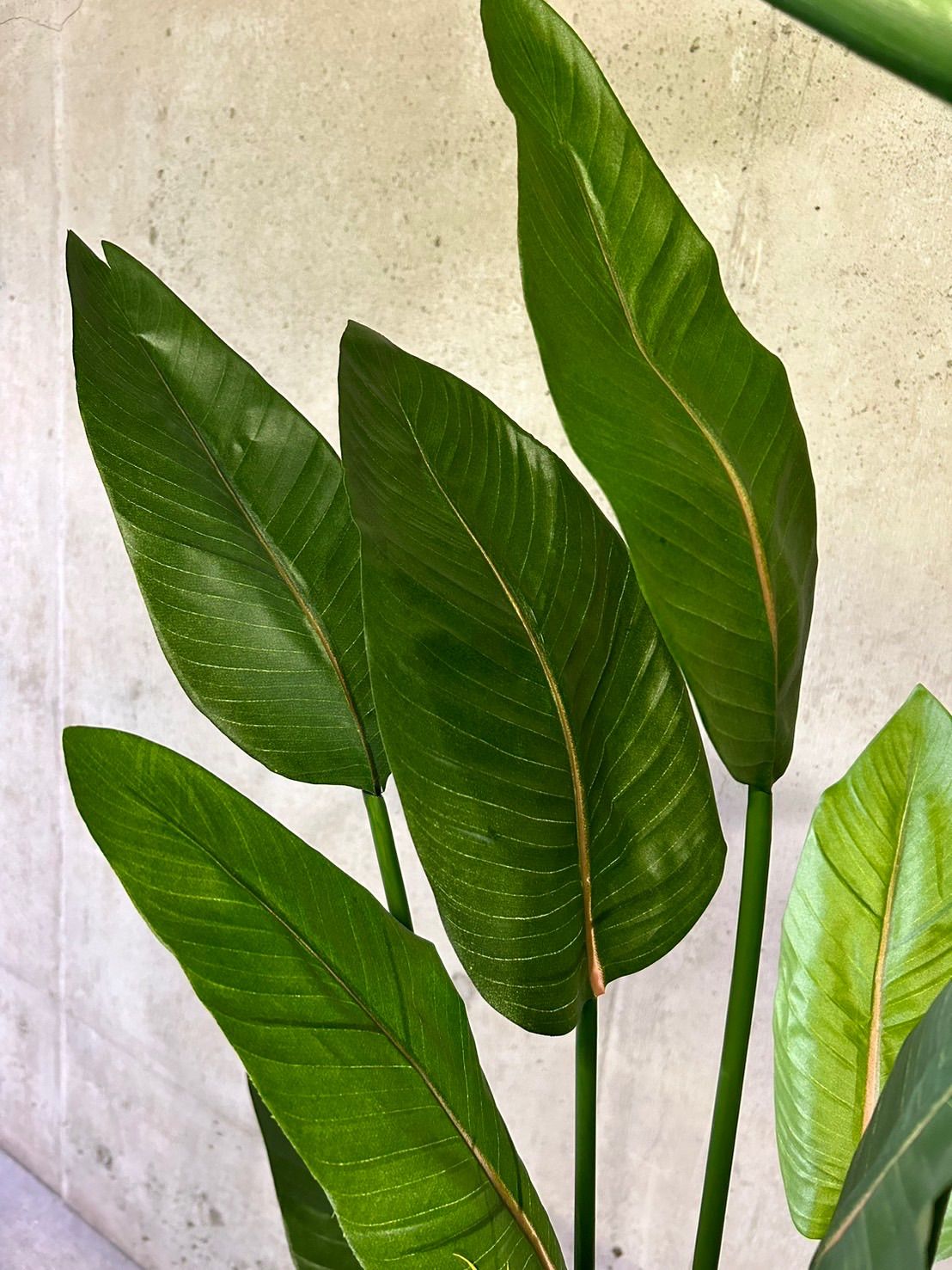 光触媒 人工観葉植物 ウォールグリーン ストレッチア極楽鳥2輪付きabcg 