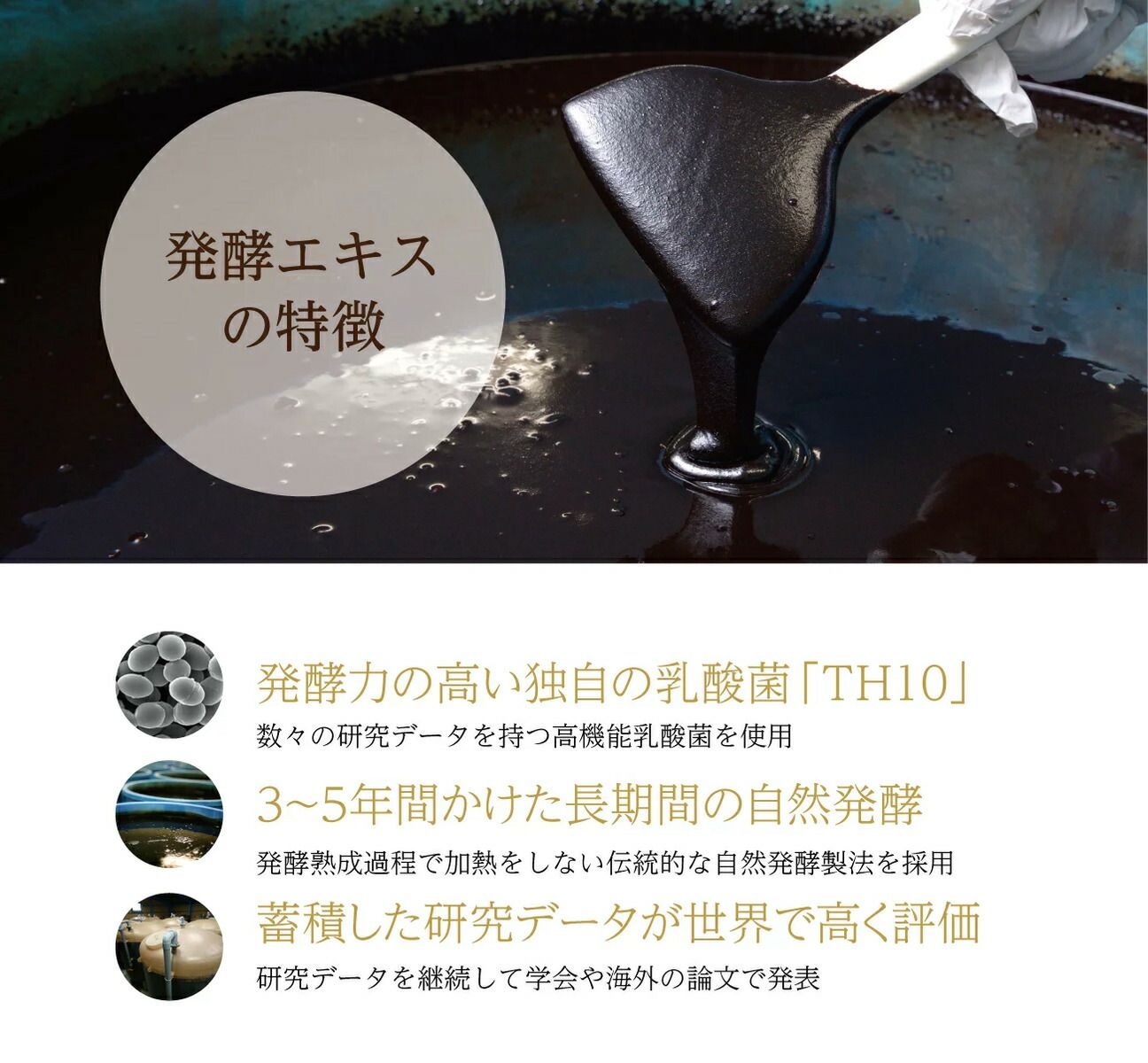 乳酸菌