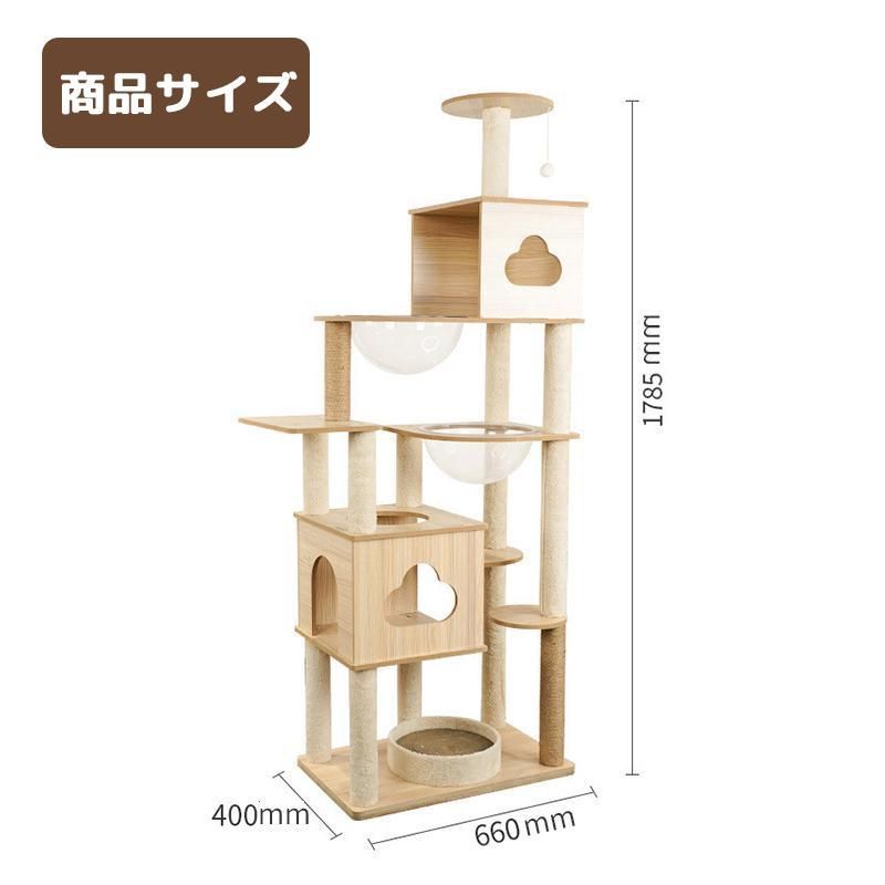 おしゃれ 大型猫