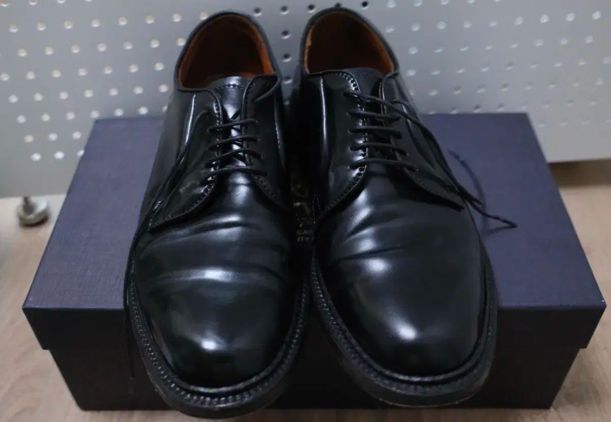 オールデン alden 9901 6E 250 255