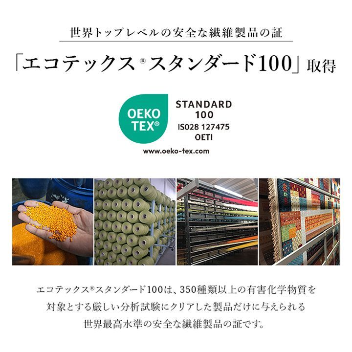 ウィルトン玄関マット アルスラーン