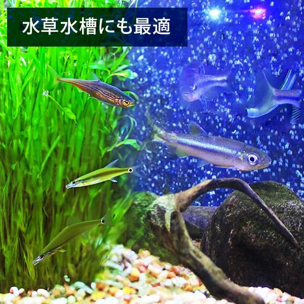 豊富な品揃え。 エーハイム エーハイムフィルター500 60Hz 西日本用 2213820 45cm～75cm水槽用 お買得情報満載！