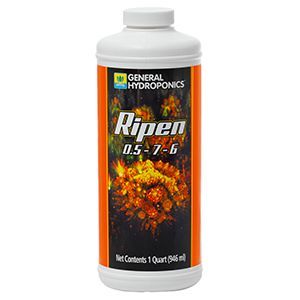 GH Ripen Quart 946ml